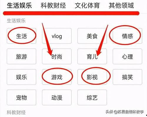 视频号如何赚取收益,轻松开启你的赚钱之旅