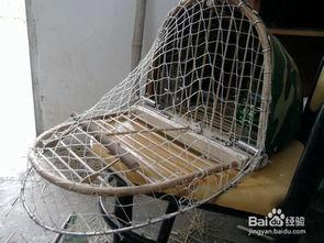 斑鸠打笼视频,一场精彩绝伦的鸟类竞技盛宴