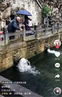 喊泉视频,声音的力量如何唤醒自然之美