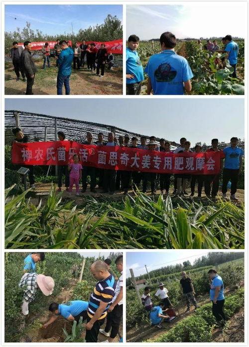 中国农资秀视频,农业科技盛宴，助力乡村振兴