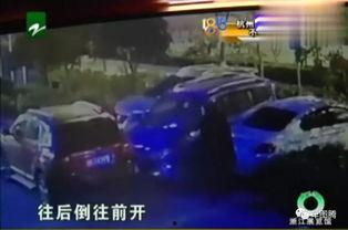 故意撞车视频,揭秘故意撞车事件真相