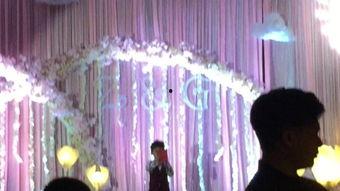 主持婚礼视频,见证爱情盛典的婚礼视频回顾