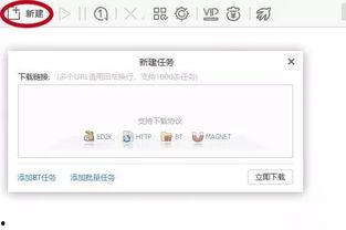 小视频磁力链接,热门小视频背后的磁力链接魅力
