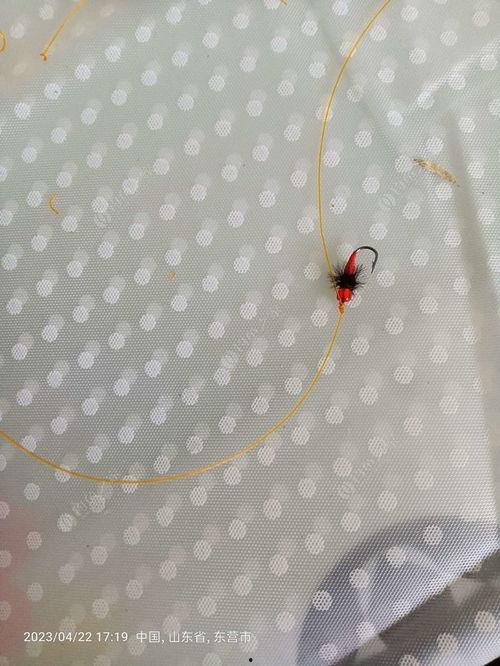 飞蝇钩视频,跟随视频学习钓鱼新境界