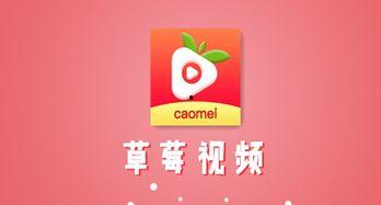 视频免费99,免费99！揭秘视频制作背后的秘密