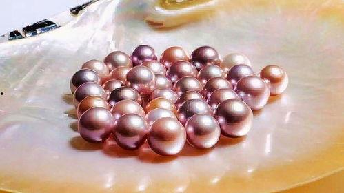 珍珠的形成过程视频,探寻海洋中的天然宝石孕育之旅