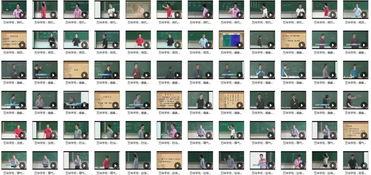 潘毅中医基础理论视频