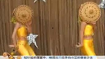傣族斗笠舞蹈视频,探寻千年民族文化的独特魅力