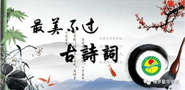 古诗词大赛视频,古诗词大赛精彩瞬间回顾