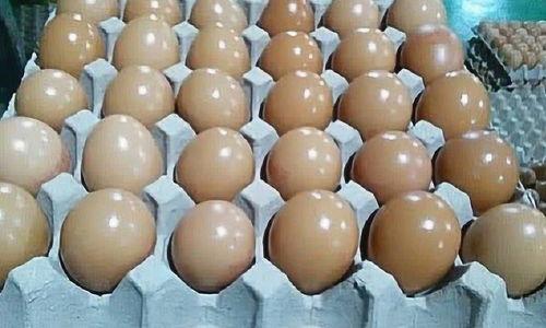 人造鸡蛋制作视频,科技与食品安全的碰撞