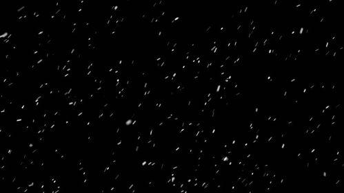 下雪视频下载,下雪视频下载精选集