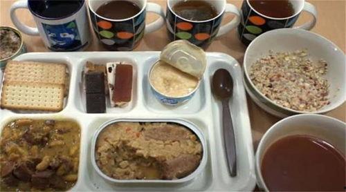 各国单兵口粮试吃视频,试吃视频揭秘各国军粮风味与营养